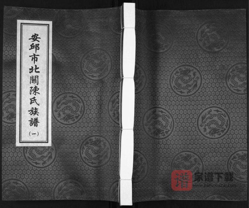 山东安丘市北关陈氏族谱(光远堂)PDF高清电子版下载-家谱下载
