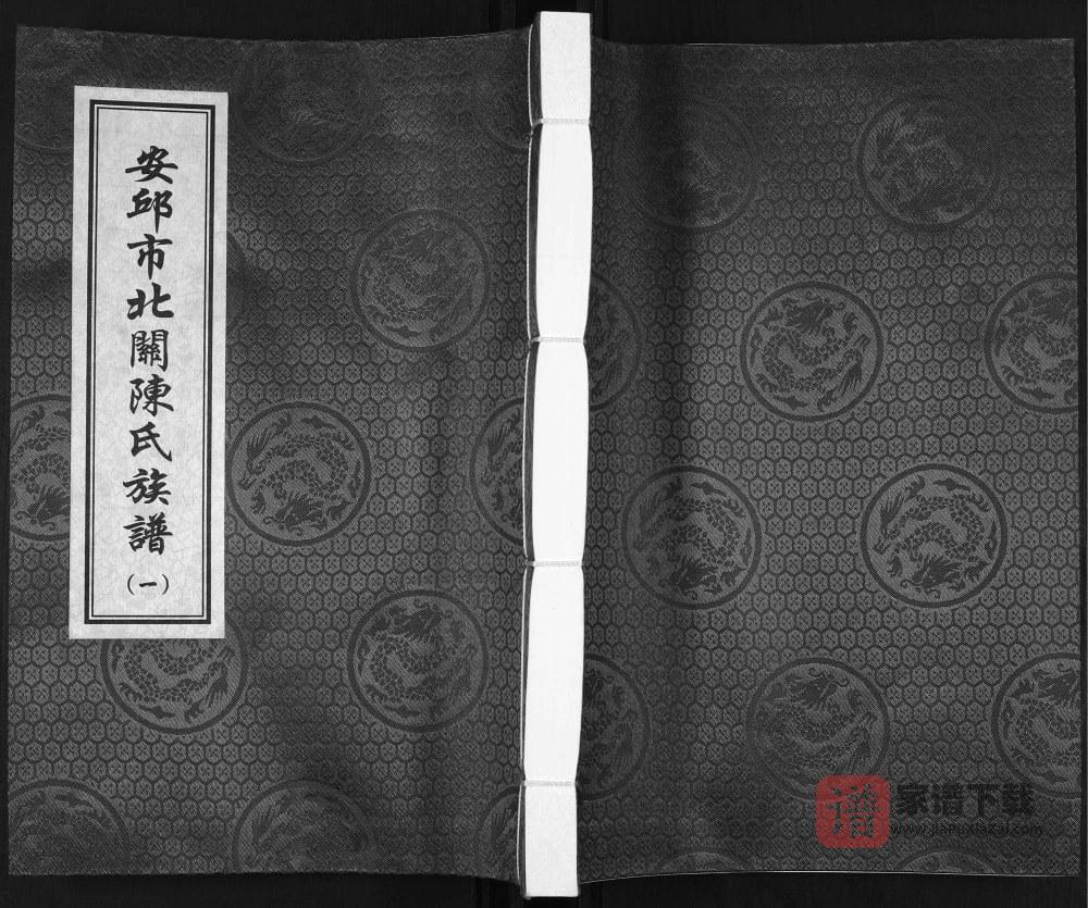 山东安丘市北关陈氏族谱（光远堂）PDF高清电子版下载