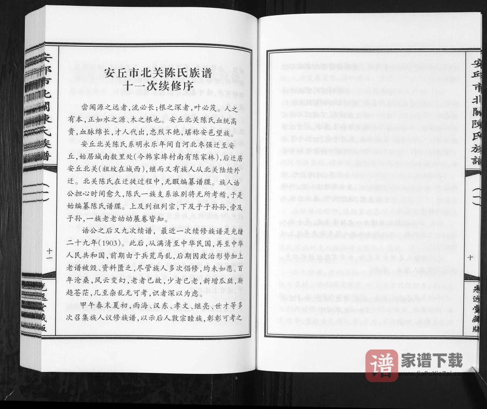 图片[2]-山东安丘市北关陈氏族谱（光远堂）PDF高清电子版下载-家谱下载