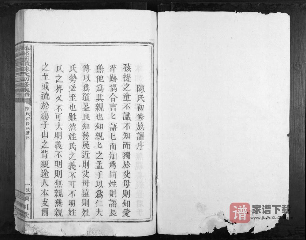 图片[2]-江西赣州寻乌县寻邬图岭陈氏初修族谱（颍川堂）PDF高清电子版下载-家谱下载