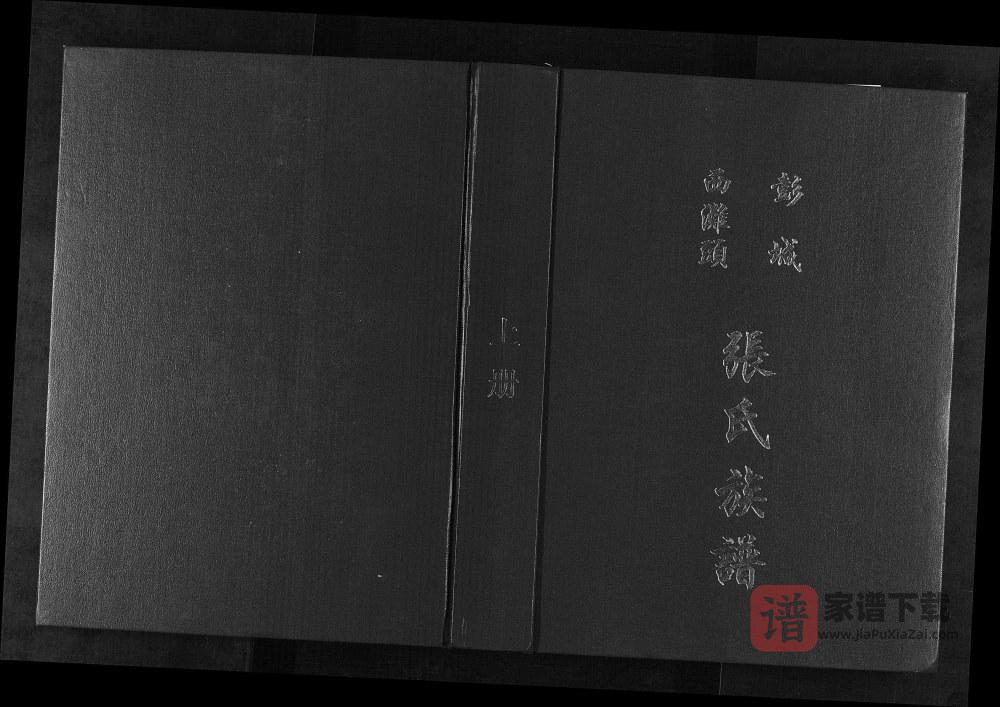图片[1]-江苏徐州铜山区彭城西滩头张氏族谱（百忍堂）PDF高清电子版下载-家谱下载