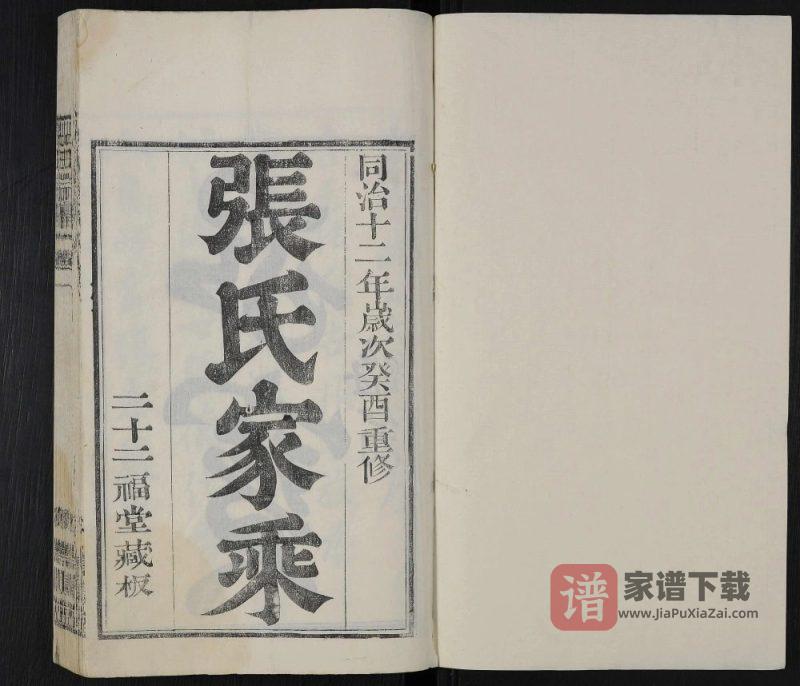 江苏无锡张氏宗谱(寿康堂)PDF高清电子版下载-家谱下载
