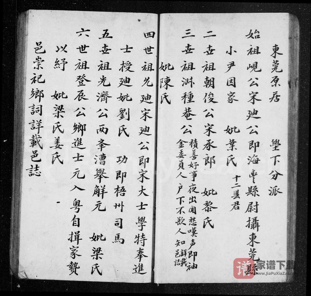 图片[1]-广东东莞张氏族谱PDF高清电子版下载-家谱下载