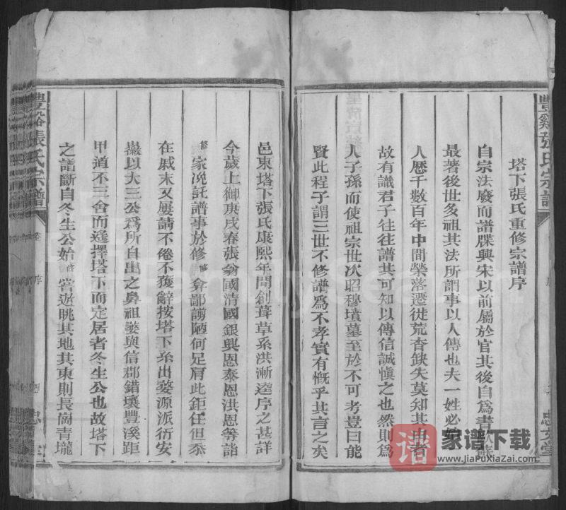 江西上饶广丰区丰溪塔下张氏宗谱(忠文堂)PDF高清电子版下载-家谱下载