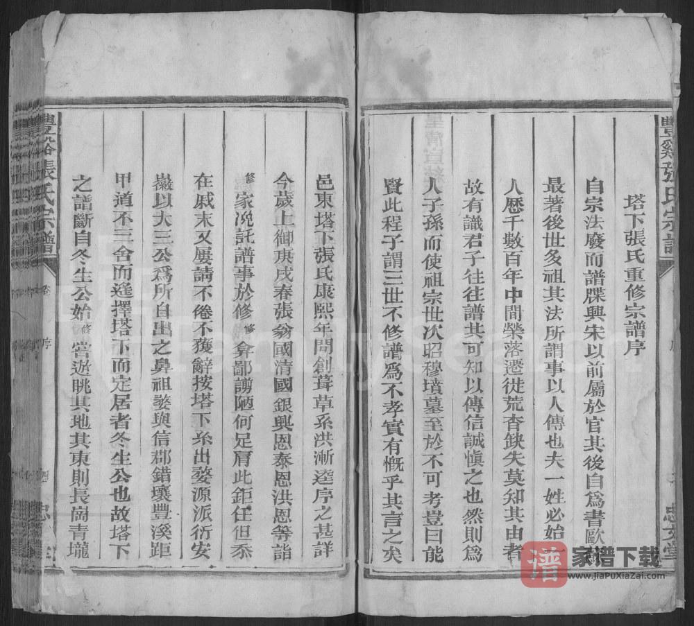 江西上饶广丰区丰溪塔下张氏宗谱（忠文堂）PDF高清电子版下载