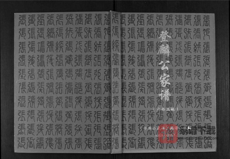 广西玉林张氏登麟公家谱PDF高清电子版下载-家谱下载