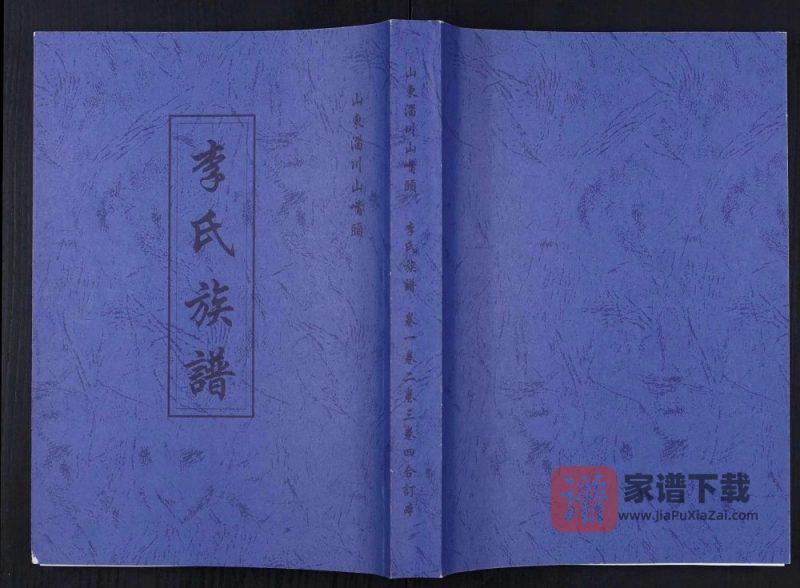 山东淄博淄川区李氏族谱(笠山堂)PDF高清电子版下载-家谱下载