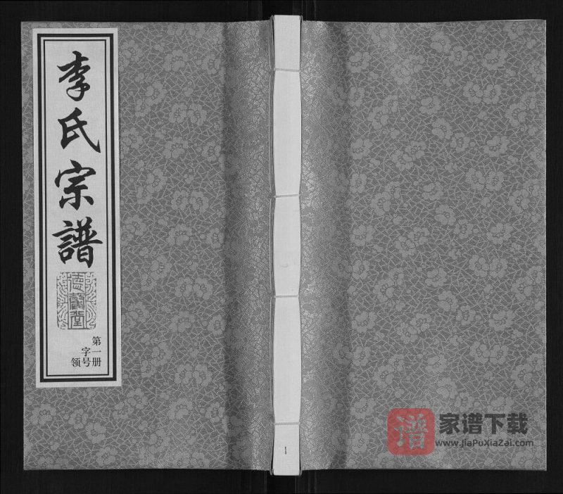 江苏常州武进区毗陵横堰桥李氏宗谱(德馨堂)PDF高清电子版下载-家谱下载