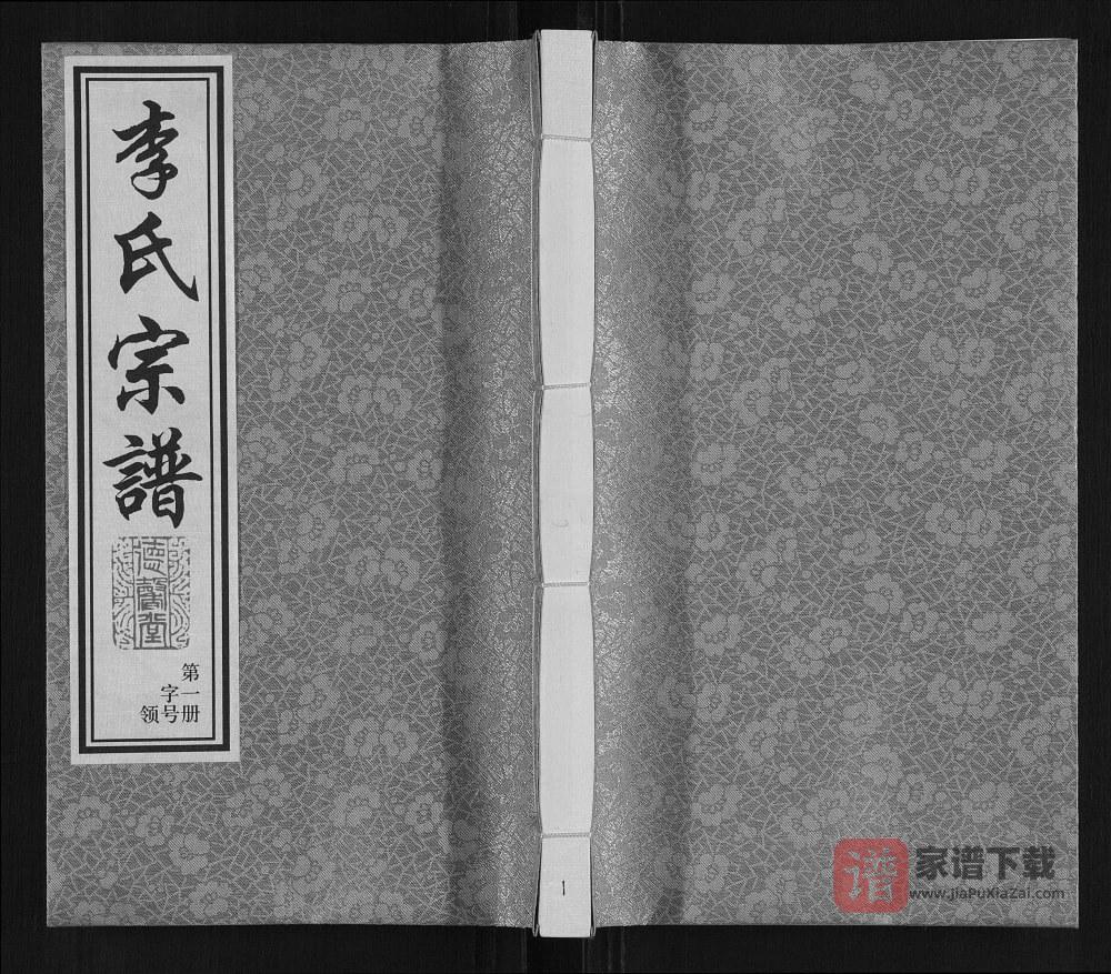 江苏常州武进区毗陵横堰桥李氏宗谱（德馨堂）PDF高清电子版下载
