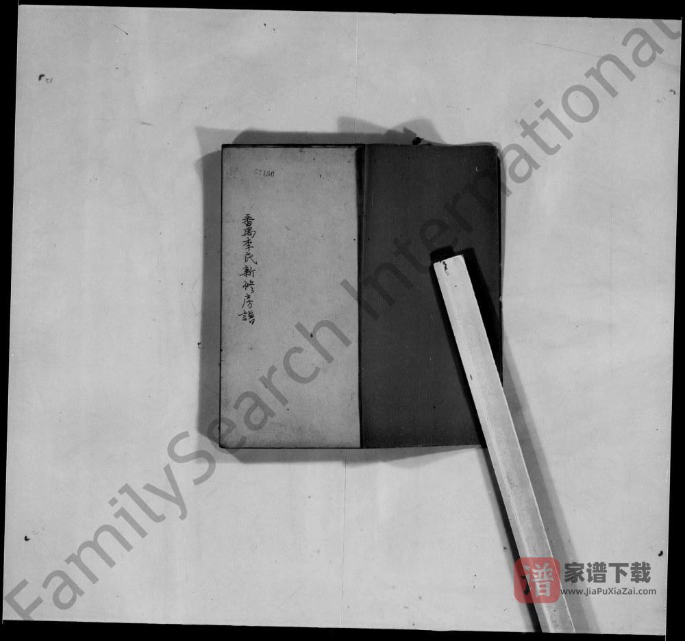 图片[1]-广东广州番禺李氏新修房谱PDF高清电子版下载-家谱下载