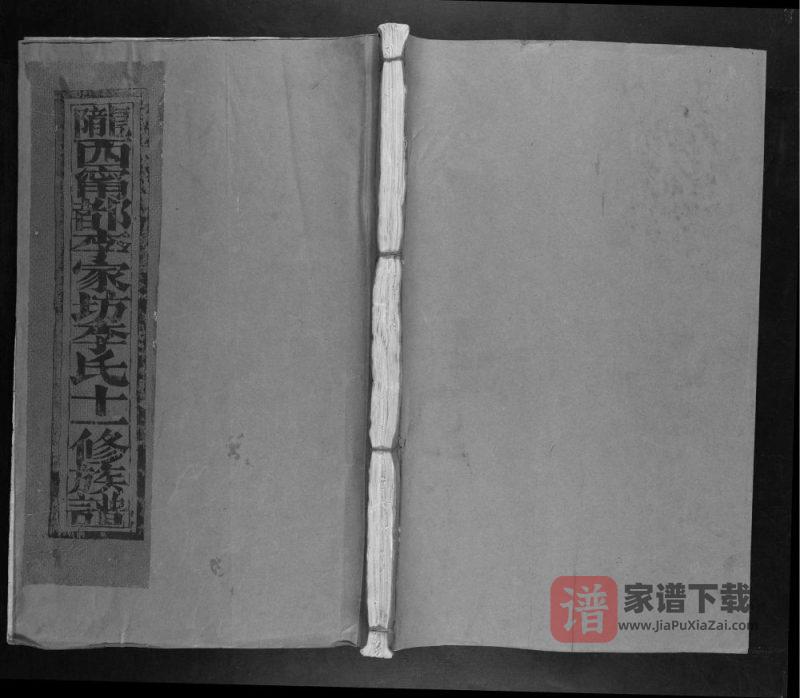 江西赣州宁都李家坊李氏十一修族谱PDF高清电子版下载-家谱下载