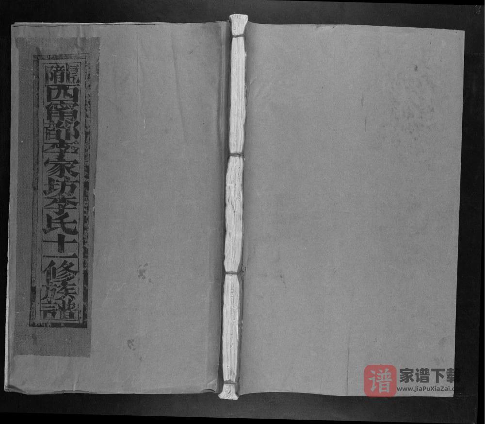 图片[1]-江西赣州宁都李家坊李氏十一修族谱PDF高清电子版下载-家谱下载