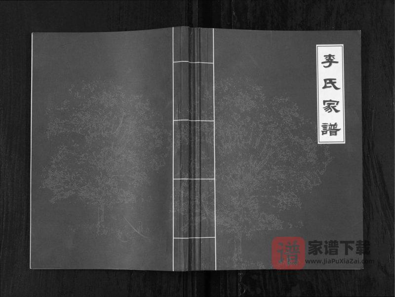重庆忠县李氏家谱PDF高清电子版下载-家谱下载