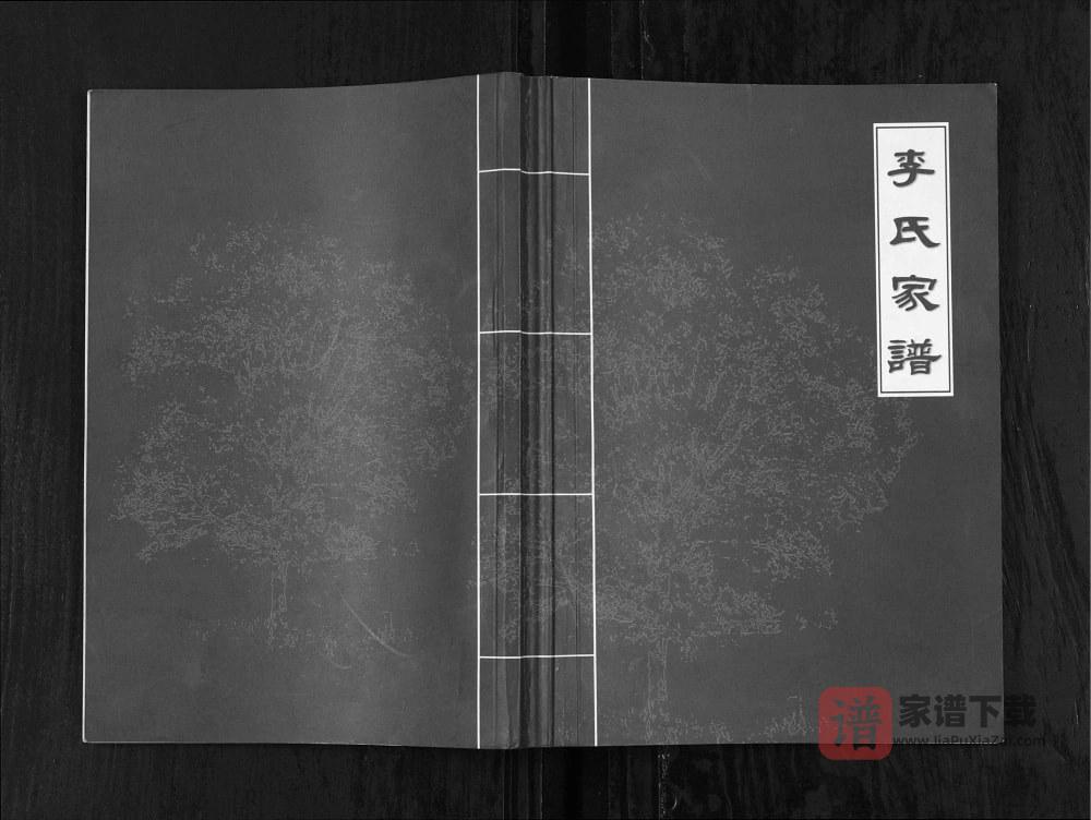 图片[1]-重庆忠县李氏家谱PDF高清电子版下载-家谱下载