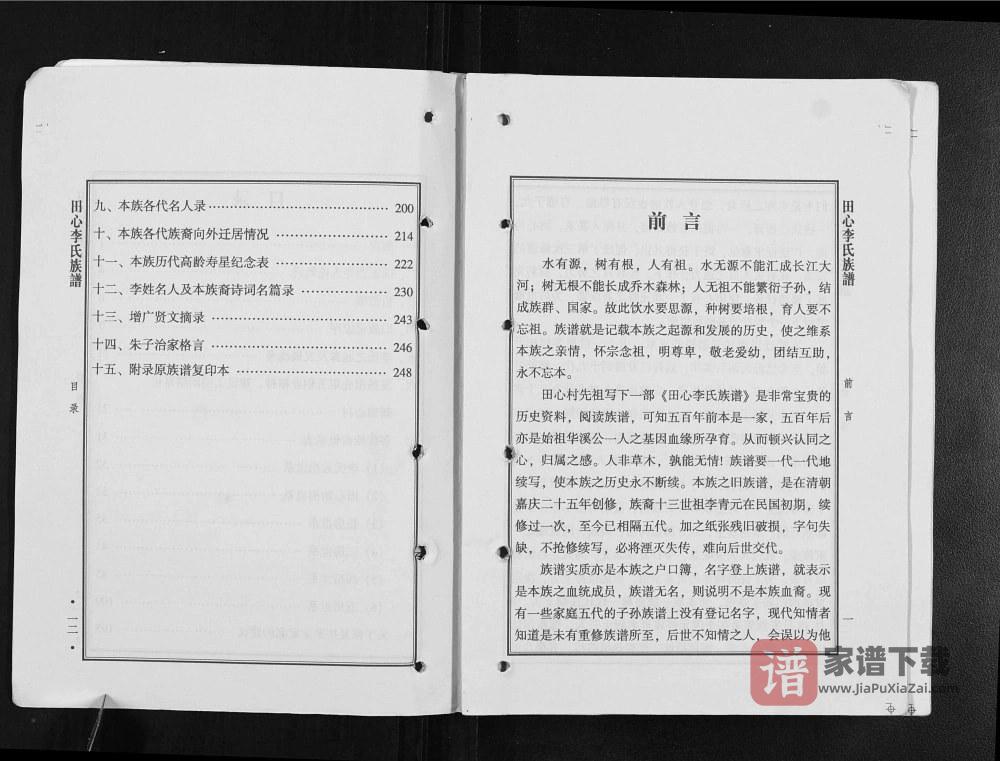 图片[2]-广东高州陇西郡田心李氏族谱PDF高清电子版下载-家谱下载