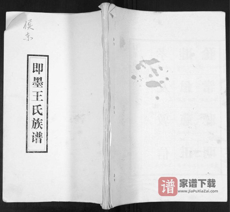 山东青岛即墨侯东王氏族谱PDF高清电子版下载-家谱下载