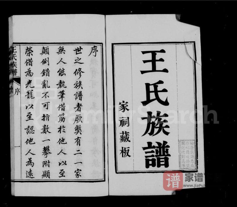 江苏南通海安王氏族谱PDF高清电子版下载-家谱下载