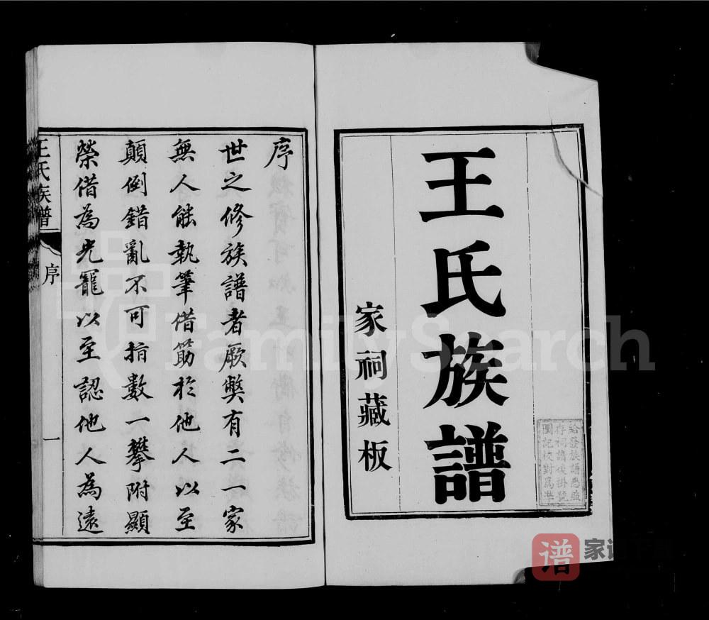 图片[1]-江苏南通海安王氏族谱PDF高清电子版下载-家谱下载