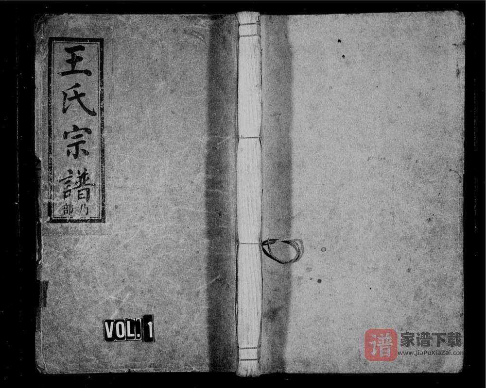 浙江丽水缙云县五云王氏宗谱PDF高清电子版下载