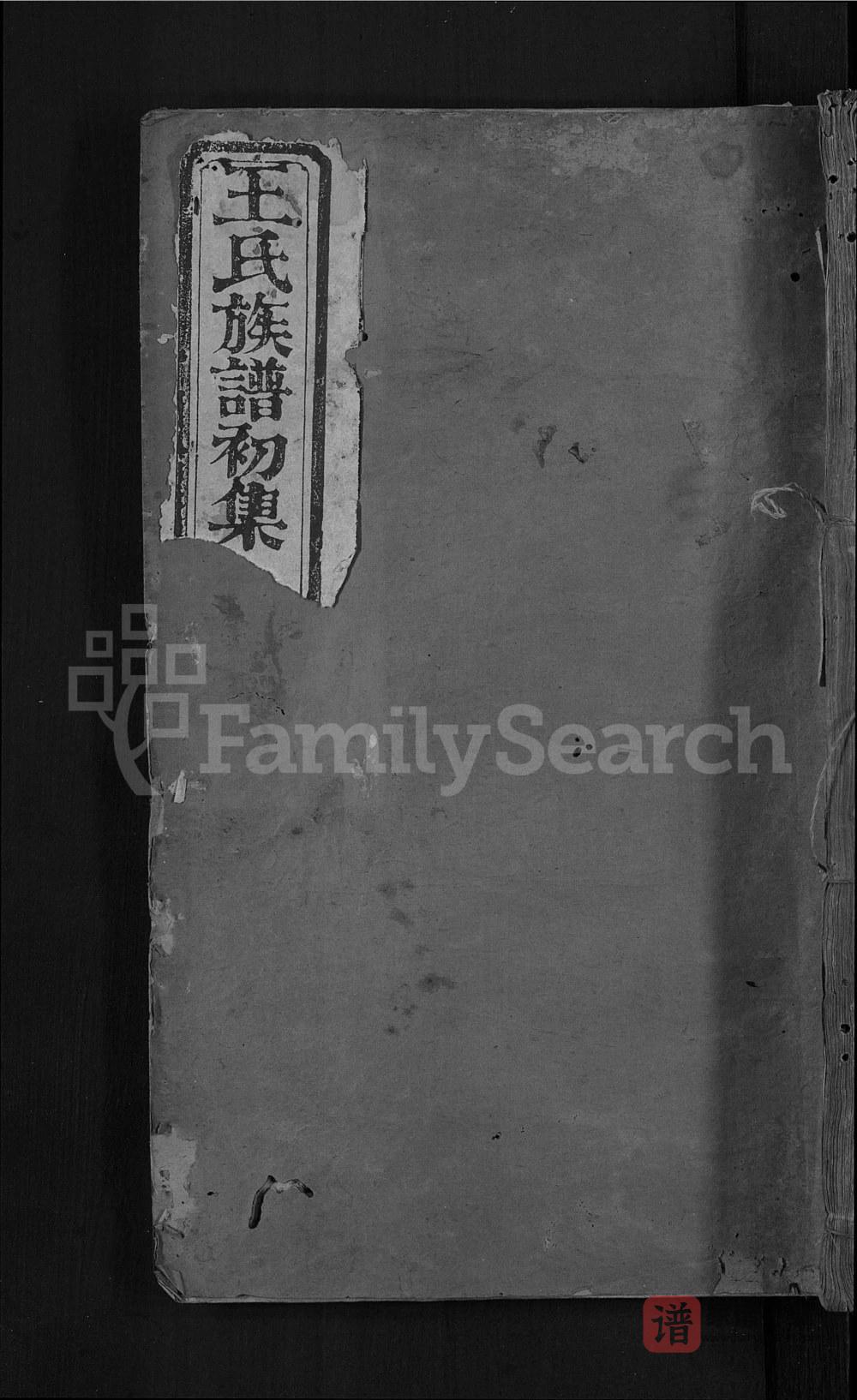 湖北石首王氏贯珠家谱PDF高清电子版下载