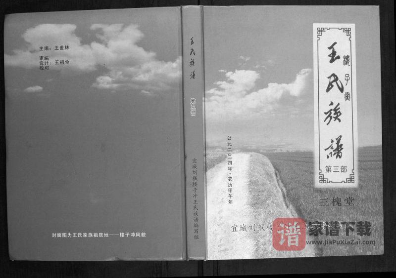 湖北宜城王氏族谱（三槐堂）PDF高清电子版下载-家谱下载