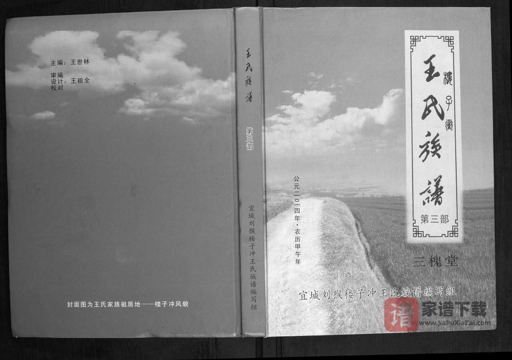 湖北宜城王氏族谱（三槐堂）PDF高清电子版下载