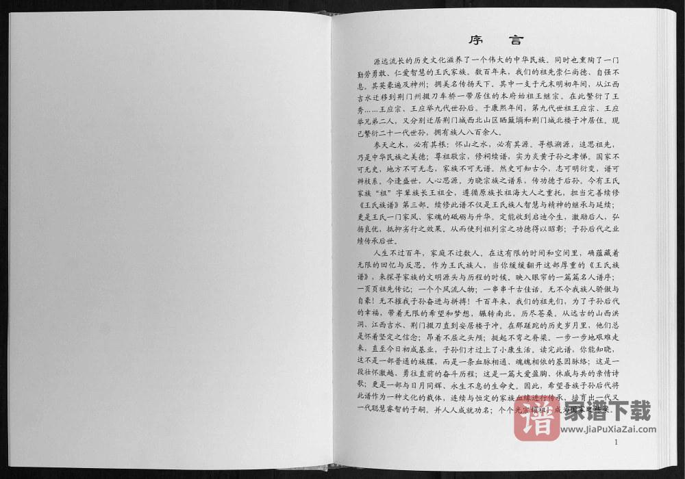 图片[2]-湖北宜城王氏族谱（三槐堂）PDF高清电子版下载-家谱下载