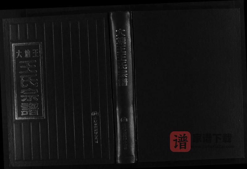 浙江永康大塘王王氏宗谱PDF高清电子版下载-家谱下载