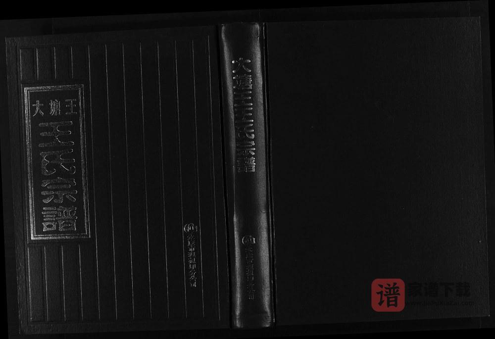 浙江永康大塘王王氏宗谱PDF高清电子版下载