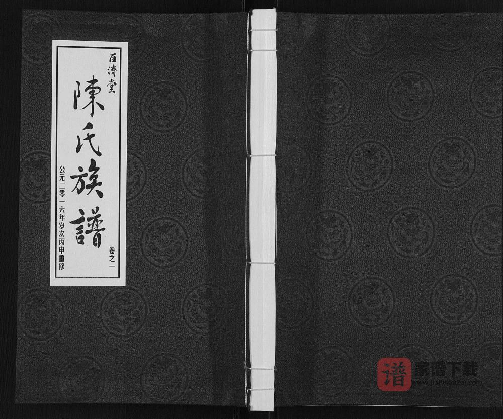 江苏泰州高港区陈氏族谱（匡济堂）PDF高清电子版下载