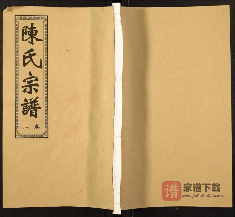 安徽合肥肥东县陈氏宗谱（追远堂）PDF高清电子版下载-家谱下载