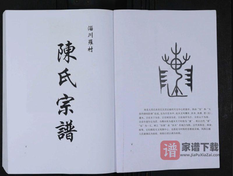 山东淄博淄川罗村陈氏宗谱PDF高清电子版下载-家谱下载