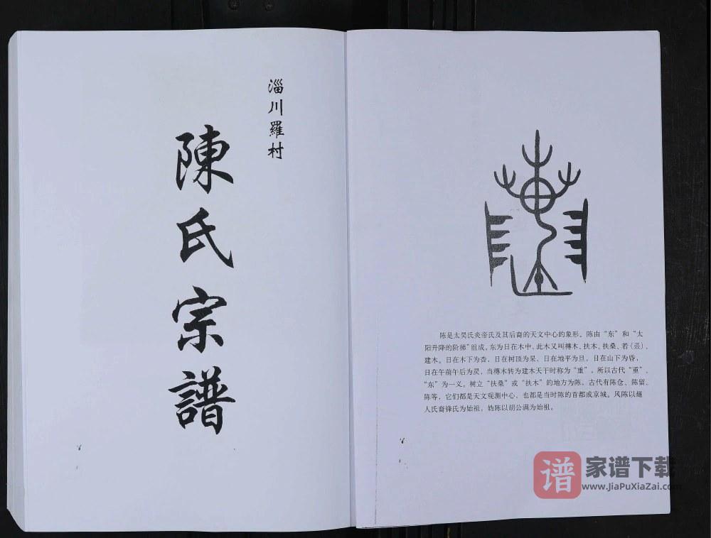 图片[1]-山东淄博淄川罗村陈氏宗谱PDF高清电子版下载-家谱下载