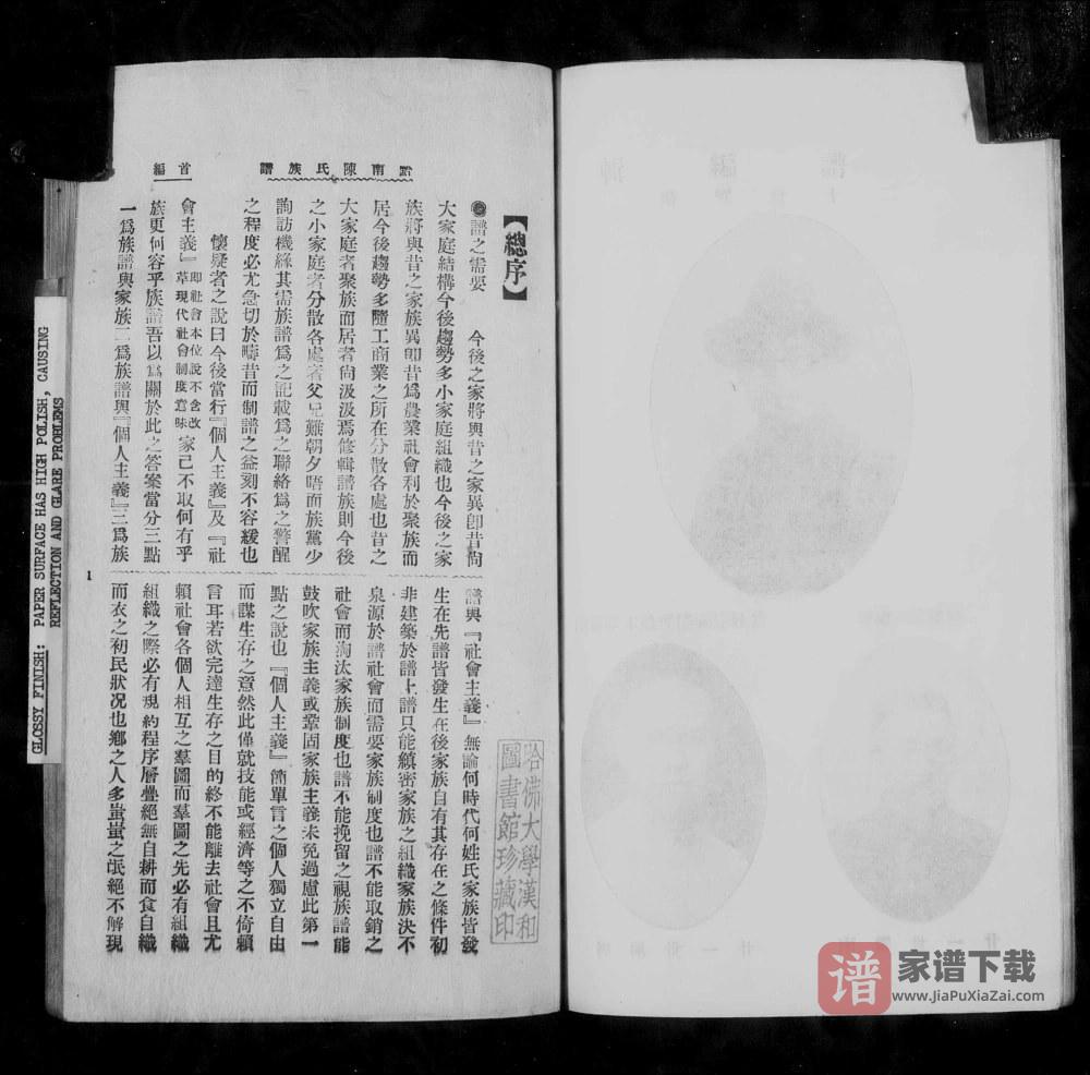图片[2]-贵州安顺平坝黔南陈氏族谱PDF高清电子版下载-家谱下载