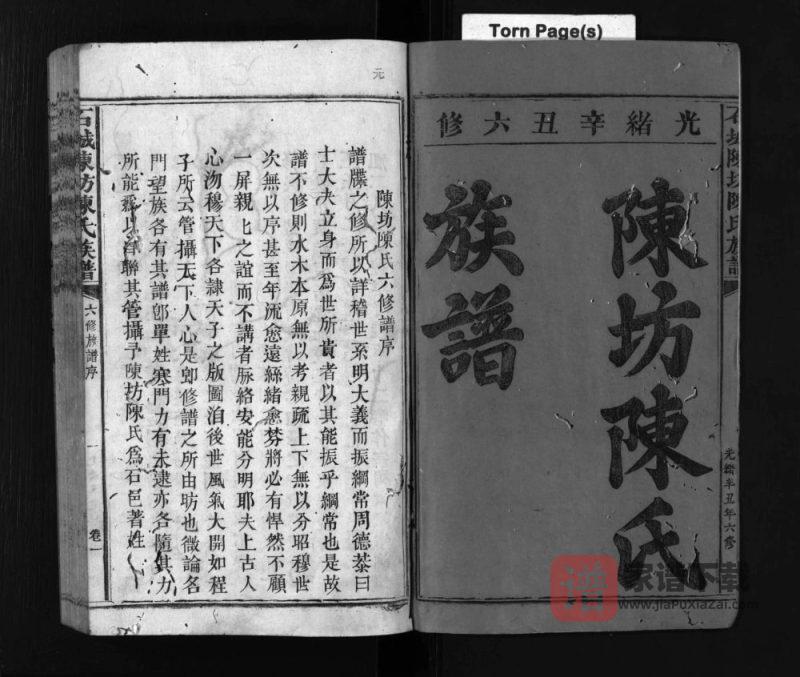 江西赣州石城陈坊陈氏族谱PDF高清电子版下载-家谱下载