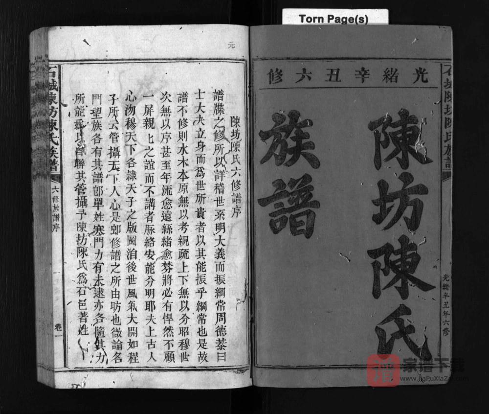 图片[1]-江西赣州石城陈坊陈氏族谱PDF高清电子版下载-家谱下载