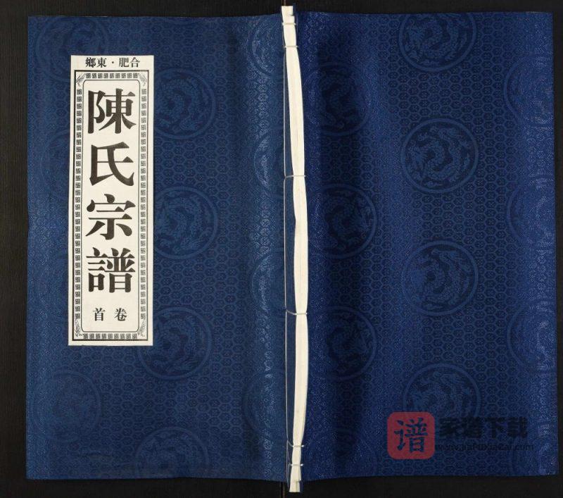 安徽合肥肥东县陈氏宗谱(义门堂)PDF高清电子版下载-家谱下载