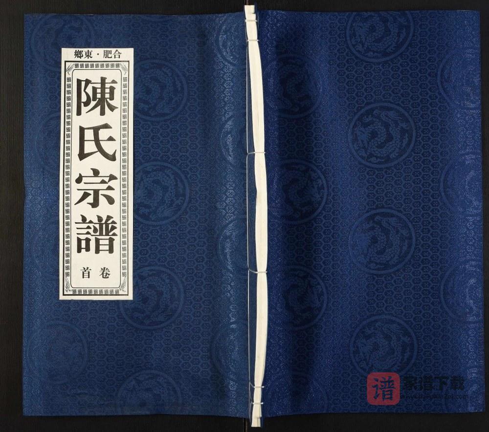 安徽合肥肥东县陈氏宗谱（义门堂）PDF高清电子版下载
