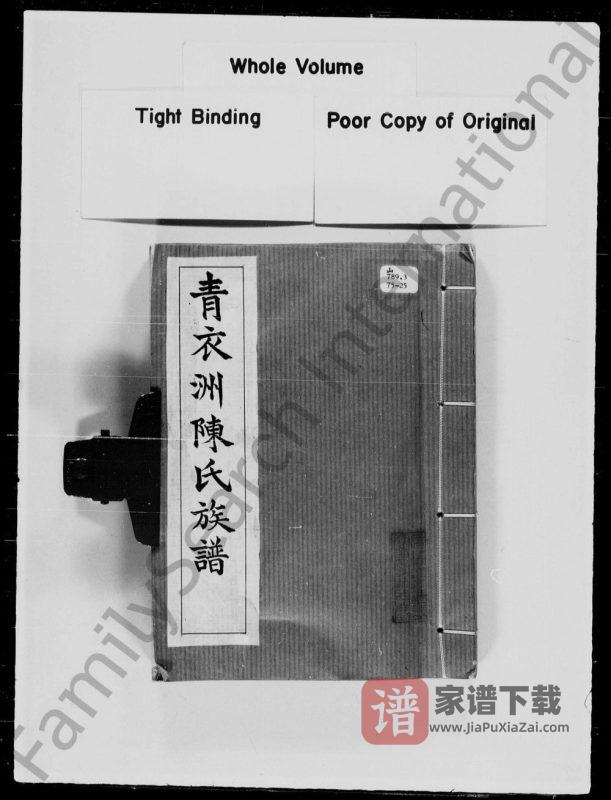 香港青衣洲陈氏族谱PDF高清电子版下载-家谱下载