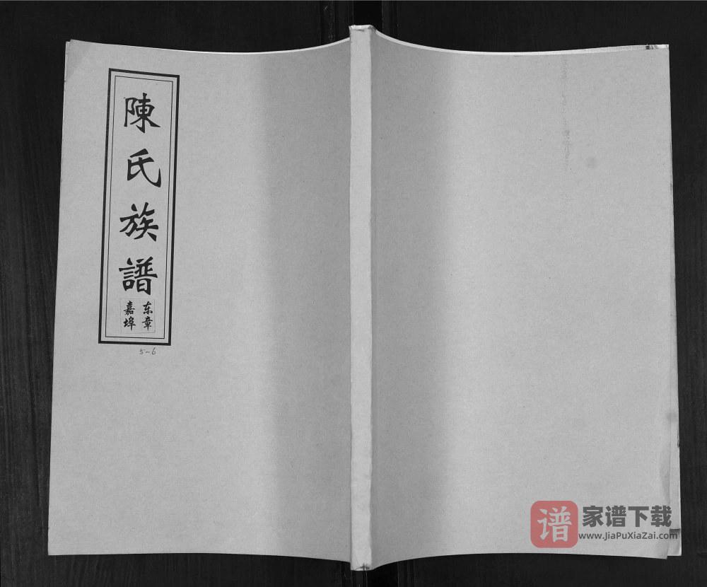 山东青岛即墨东章嘉埠陈氏族谱PDF高清电子版下载