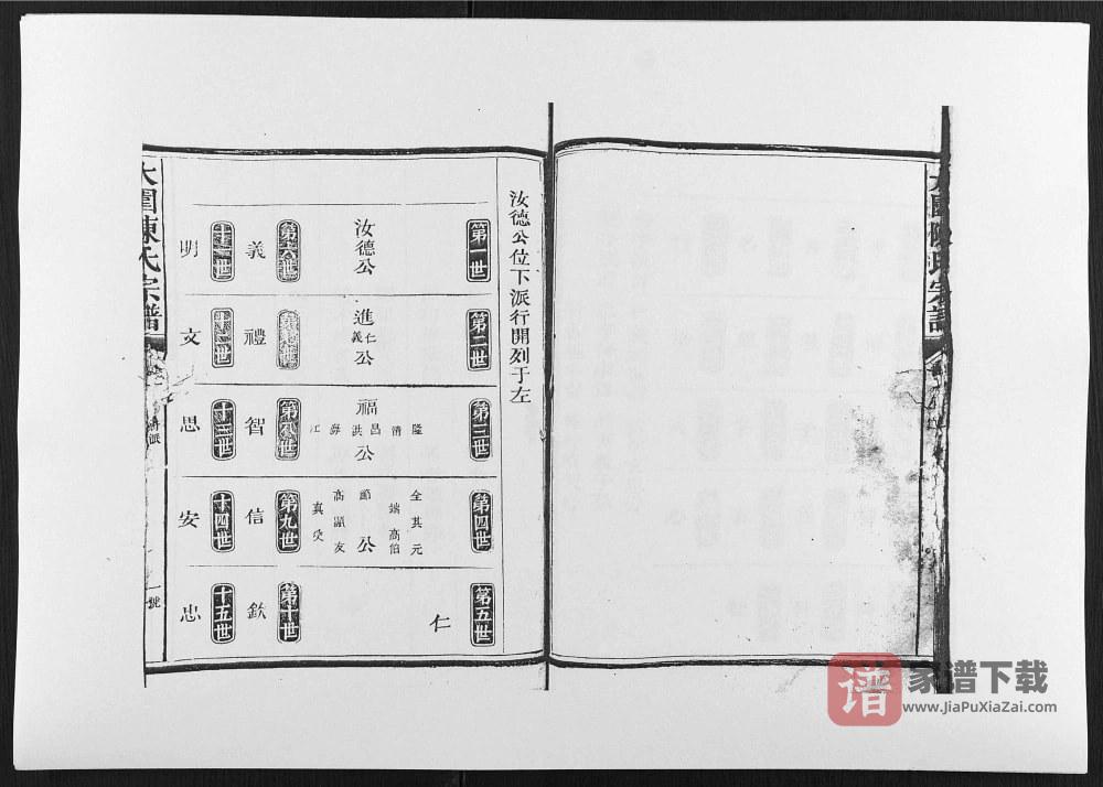 图片[2]-江西上饶铅山大园陈氏宗谱PDF高清电子版下载-家谱下载