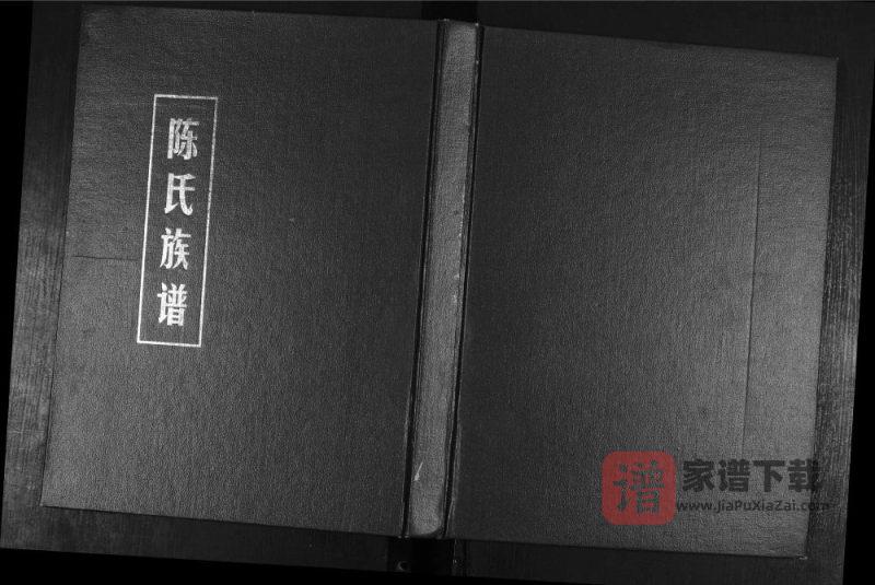 山东东营辛镇座地陈氏族谱PDF高清电子版下载-家谱下载