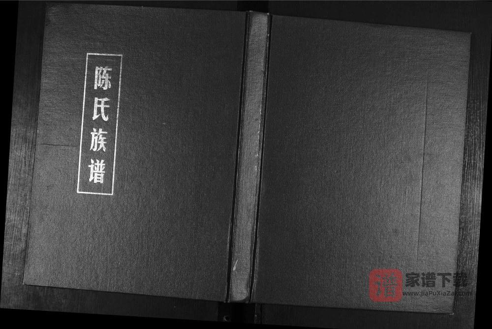 山东东营辛镇座地陈氏族谱PDF高清电子版下载