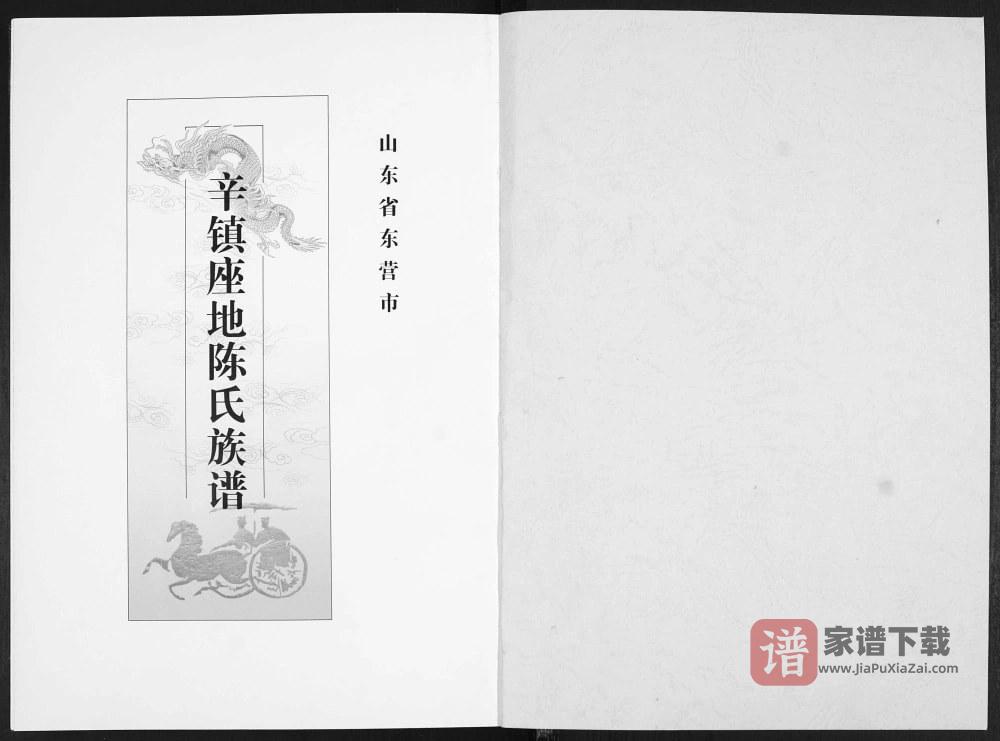 图片[2]-山东东营辛镇座地陈氏族谱PDF高清电子版下载-家谱下载