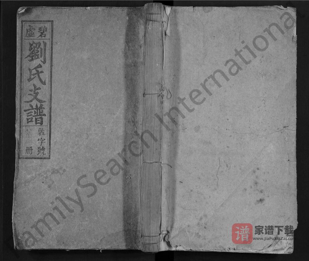 图片[1]-安徽安庆怀宁碧虚刘氏七修支谱（谊美堂）PDF高清电子版下载-家谱下载