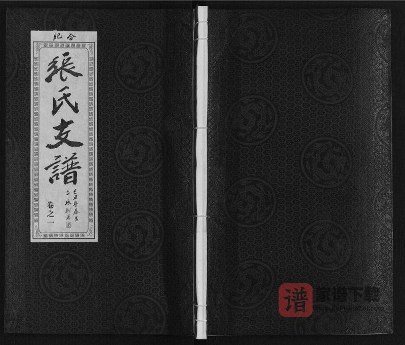 安徽肥东张氏“对河张”合肥支派宗谱(百忍堂)PDF高清电子版下载-家谱下载