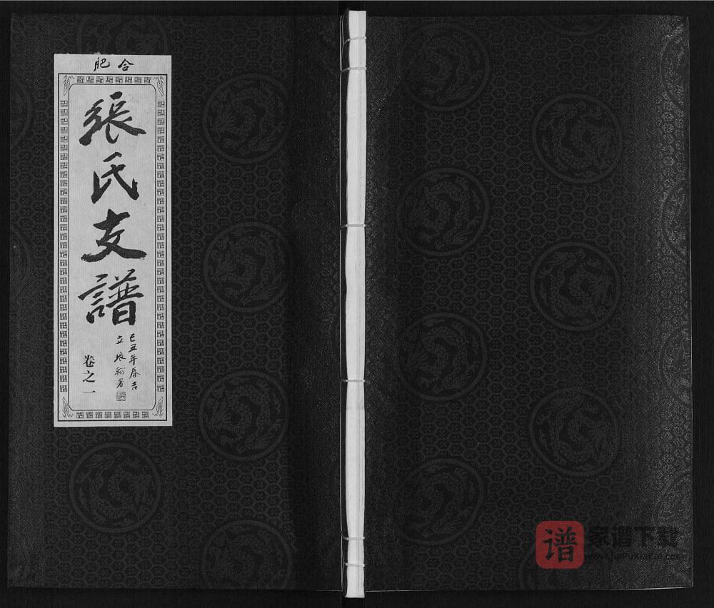 图片[1]-安徽肥东张氏“对河张”合肥支派宗谱（百忍堂）PDF高清电子版下载-家谱下载