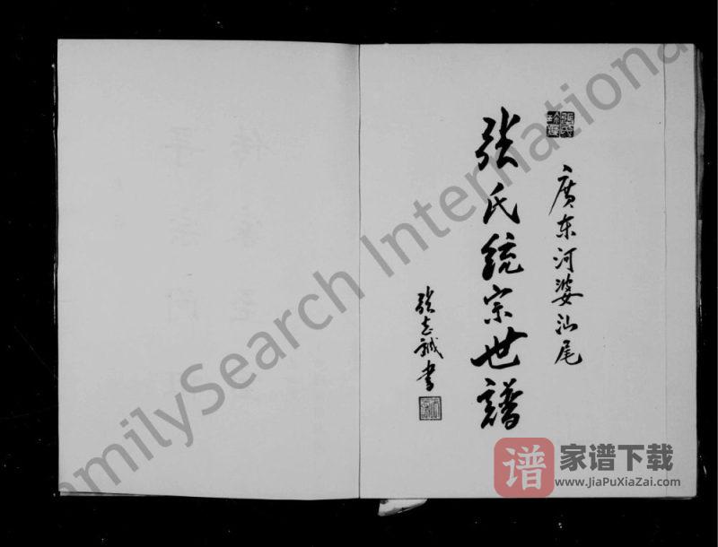 广东河婆汕尾张氏统宗世谱PDF高清电子版下载-家谱下载
