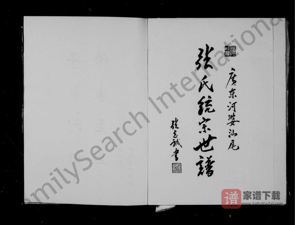 图片[1]-广东河婆汕尾张氏统宗世谱PDF高清电子版下载-家谱下载