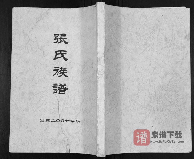 广西桂林平乐县张氏族谱PDF高清电子版下载-家谱下载